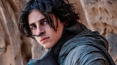 “Por no tener el cuerpo necesario”, Timothée Chalamet fue rechazado en estas grandes franquicias noticias imagen