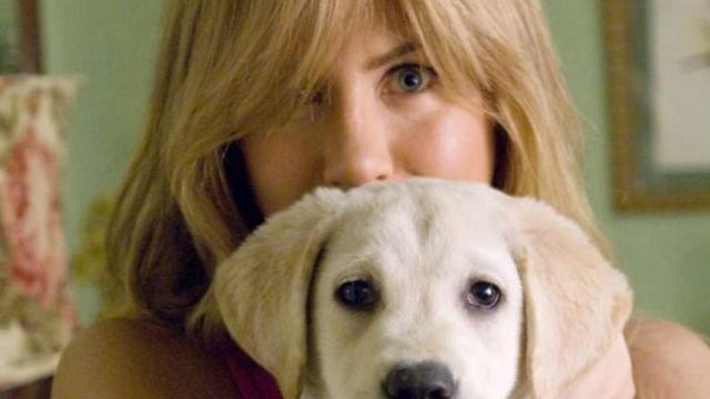 Esta película en Prime Video te ayudará a sentirte mejor si acabas de perder a tu mascota noticias imagen