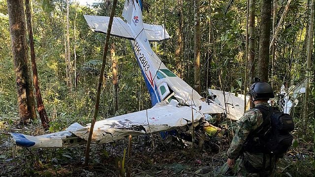 En marcha película con Daniell Coronell sobre los niños que sobrevivieron en la selva del Guaviare noticias imagen