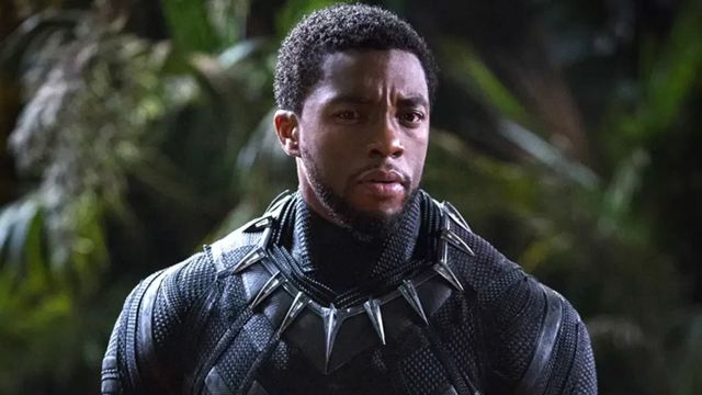 Ya hay nuevo actor para Pantera Negra: conoce el proyecto de Marvel en el que debutará