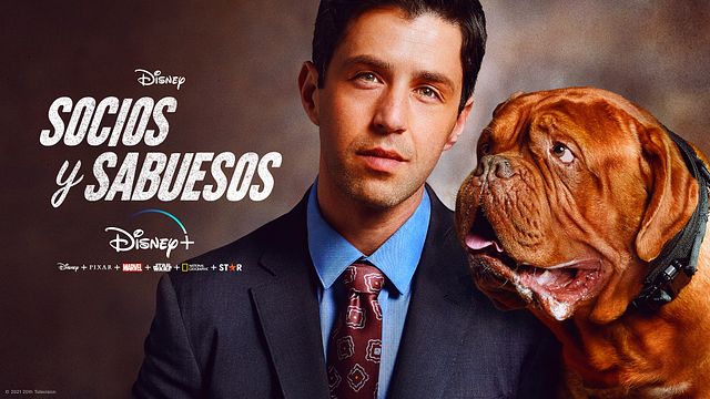 Ponte pilas para que no te pierdas nada: Las producciones de Disney Plus que serán eliminadas desde el 26 de mayo noticias imagen