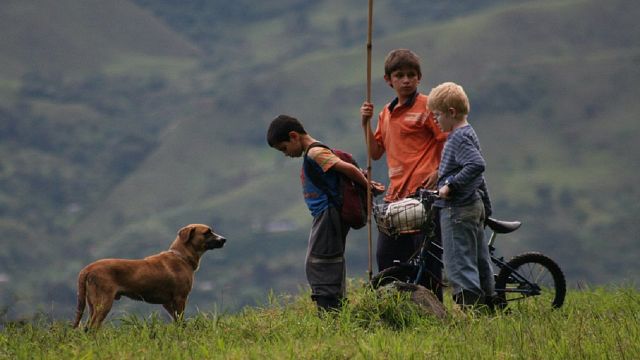 Descubre las películas colombianas que están disponibles gratis durante julio en RTVCPlay noticias imagen